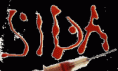 Sida – sintomas